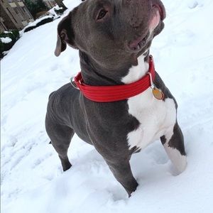 Meet your Posher, Hector